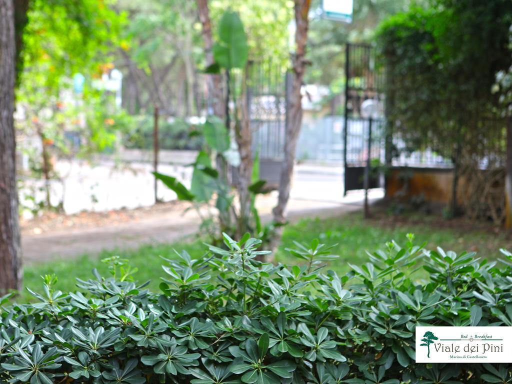 B&B Viale Dei Pini Кастелланета-Марина Екстер'єр фото