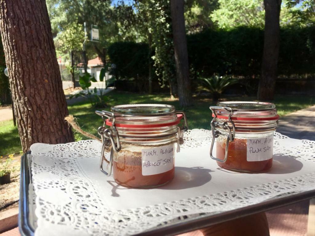 B&B Viale Dei Pini Кастелланета-Марина Екстер'єр фото
